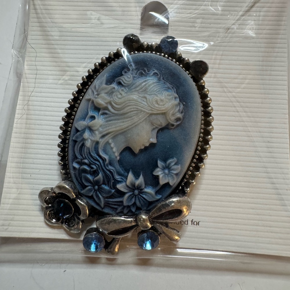 New Blue Cameo Brooch